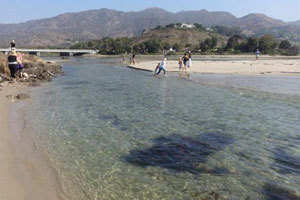 Malibu Beach