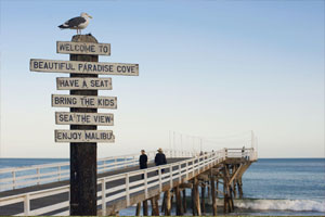 Malibu landmark beaches