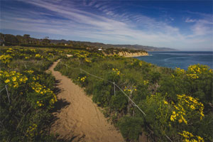 Malibu landmark beaches