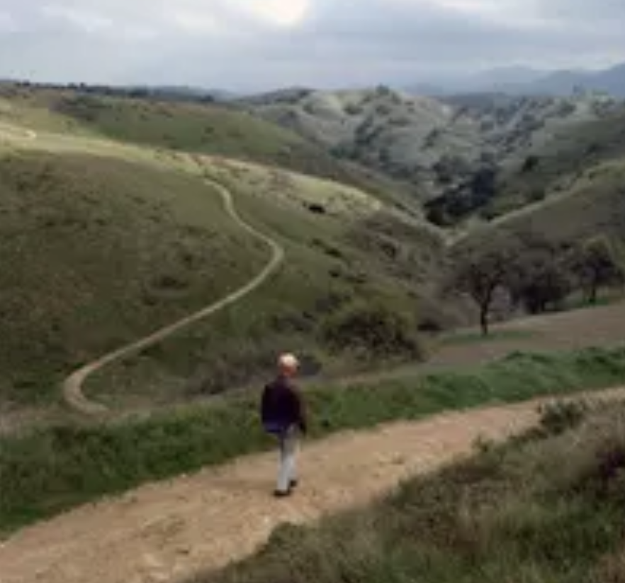 Cheeseboro Canyon Trail to Modelo Trail Loop