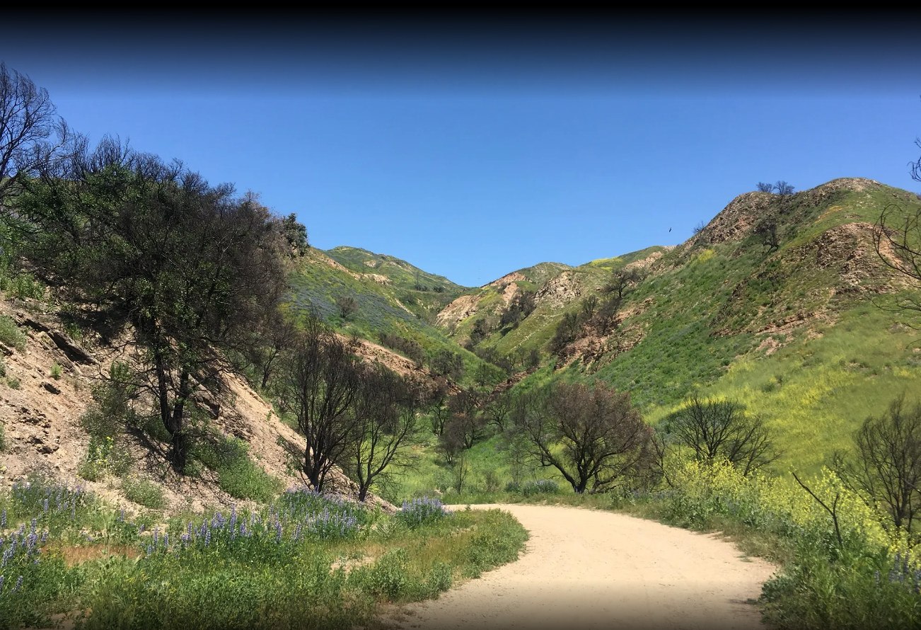 Malibu Creek State Park